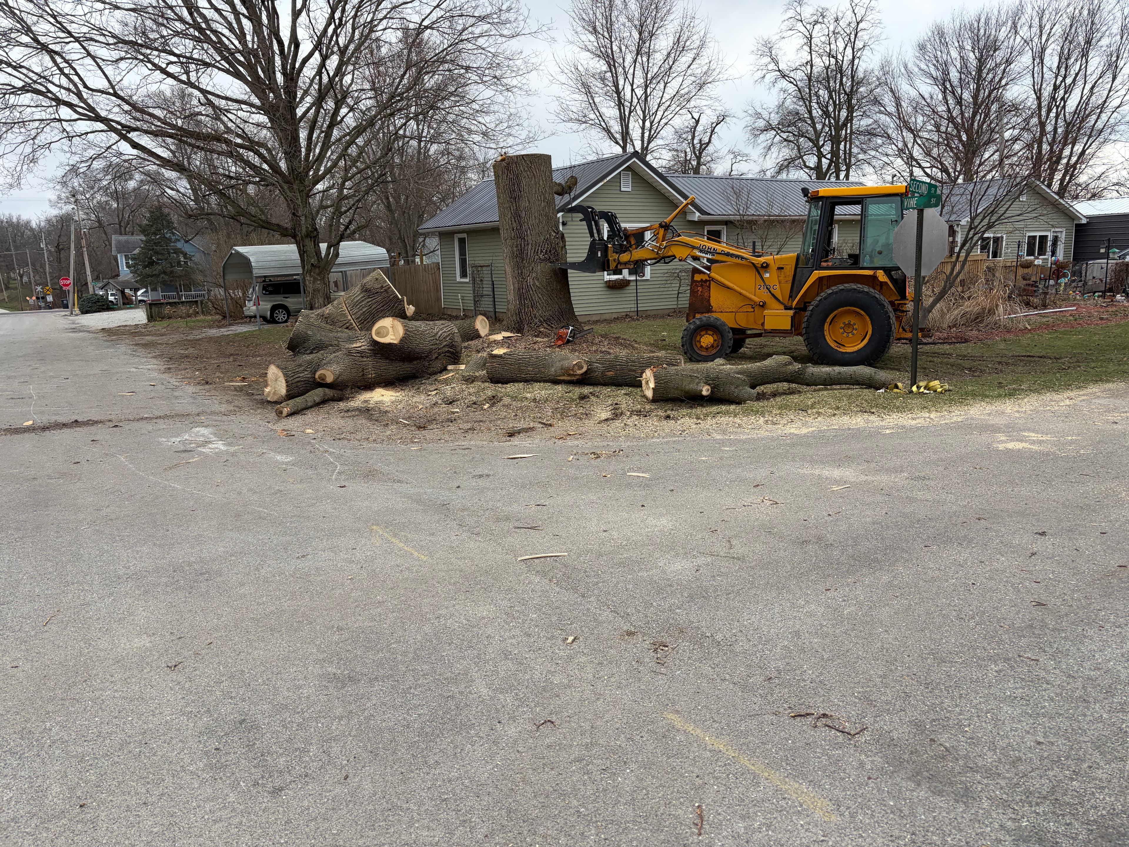 Large tree removal job with cut logs and heavy equipment